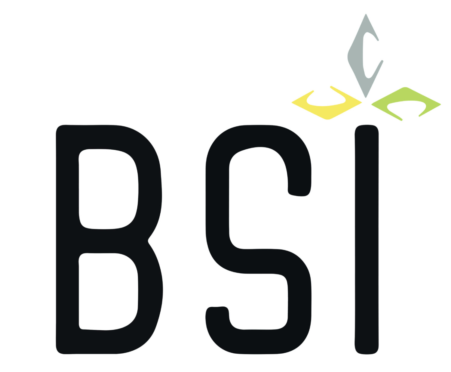 Logo BSI